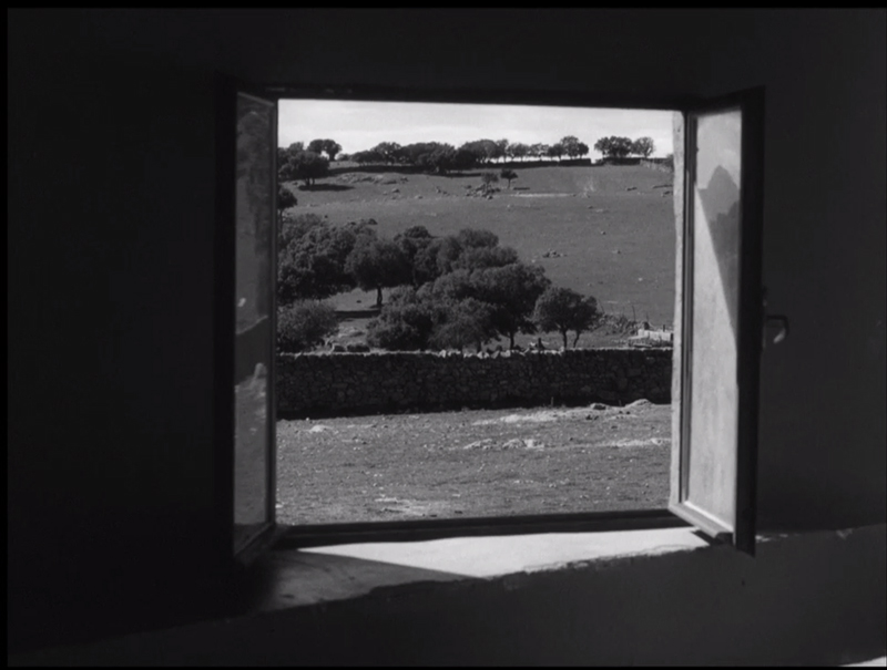 toroswindow